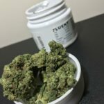 Florida Dispensary Products: Flower