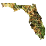 Florida Dispensary Deals And Discounts