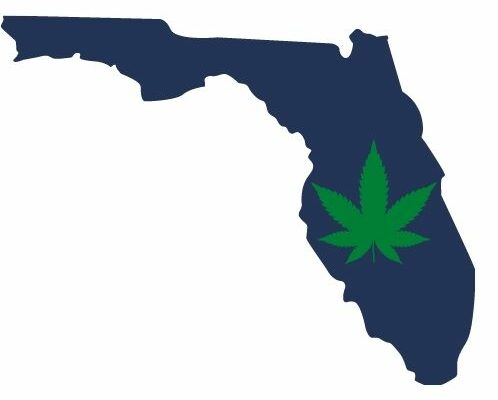 Florida dispensary discounts